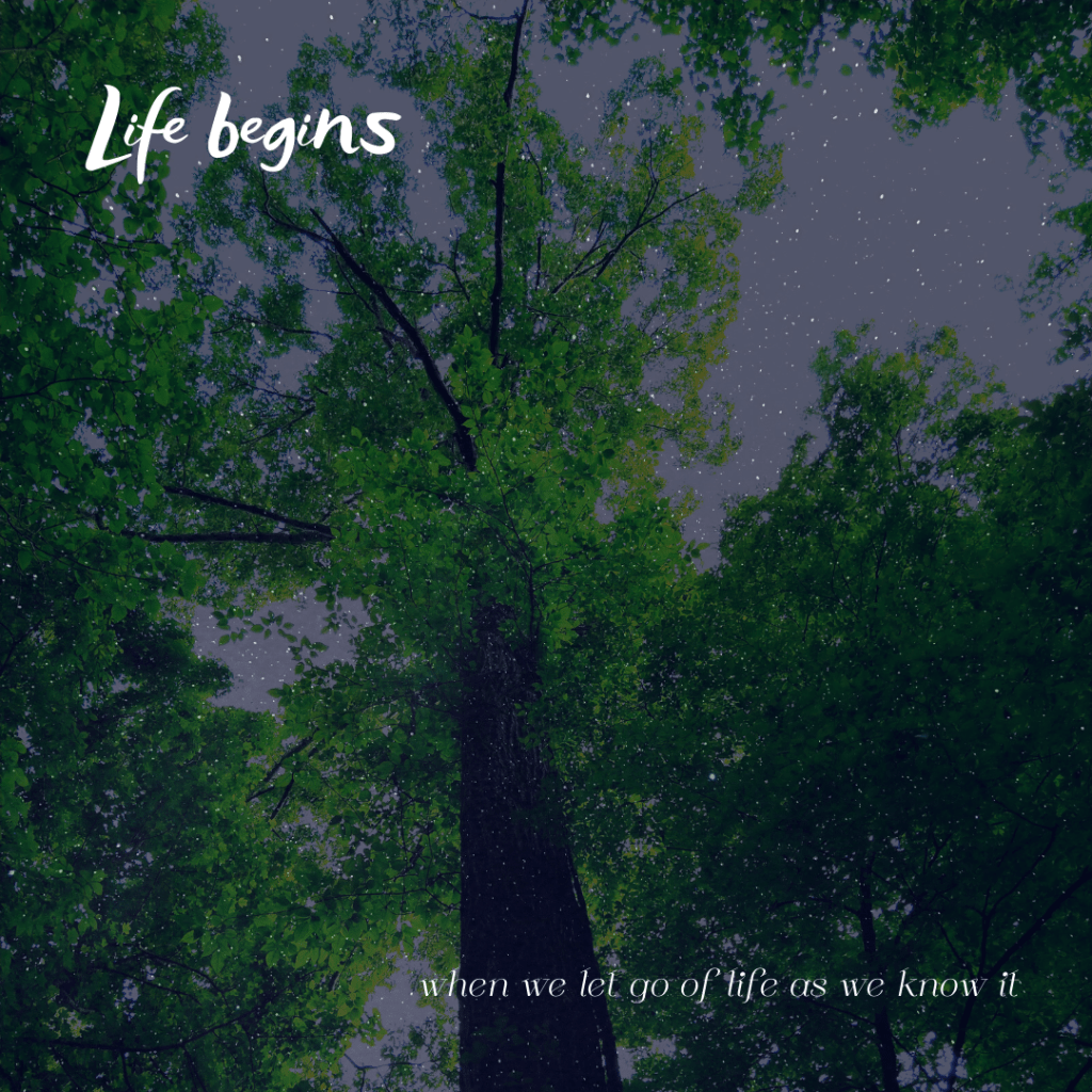 Life As We Know It- Changing&nbsp;Frequencies