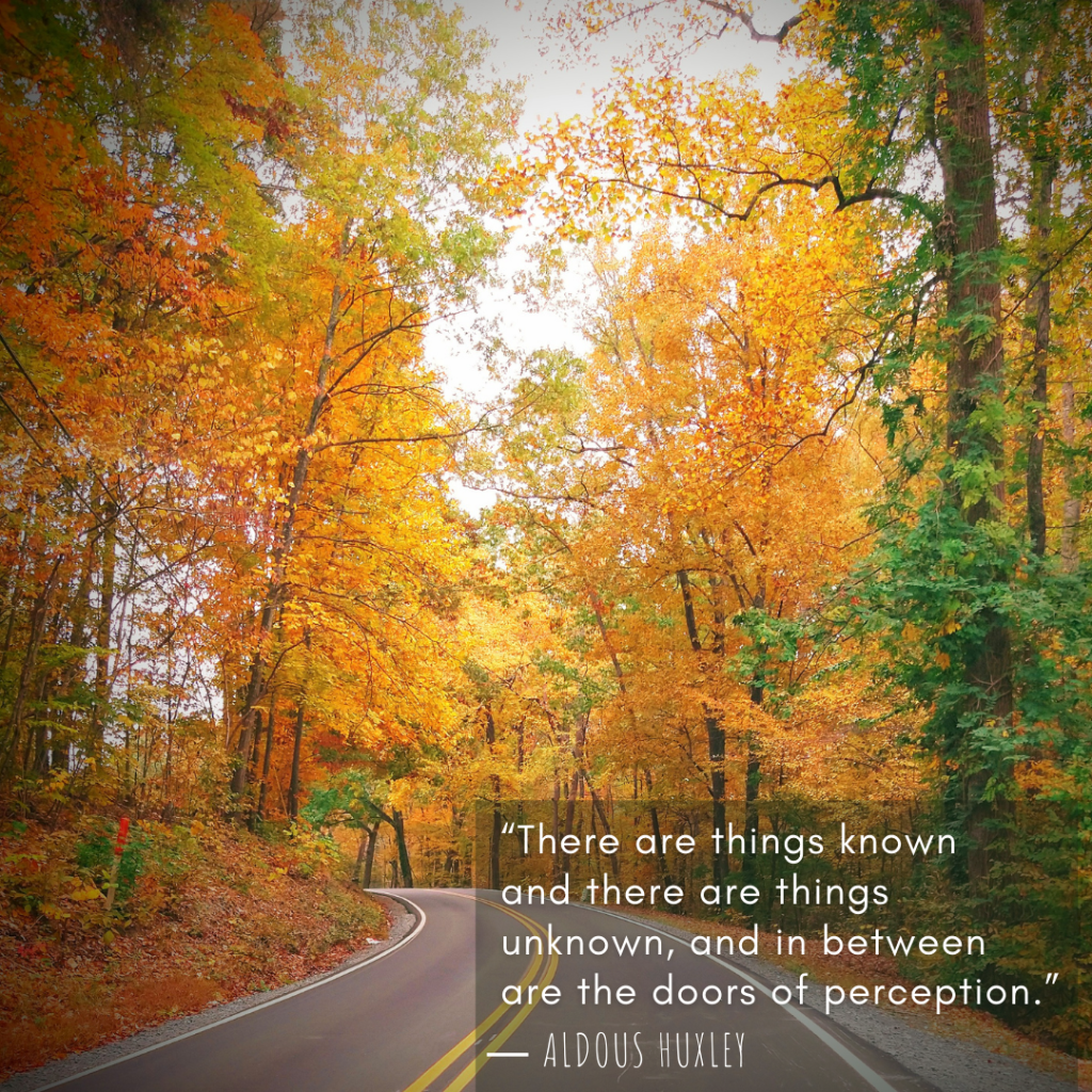 Creating Our Own&nbsp;Reruns